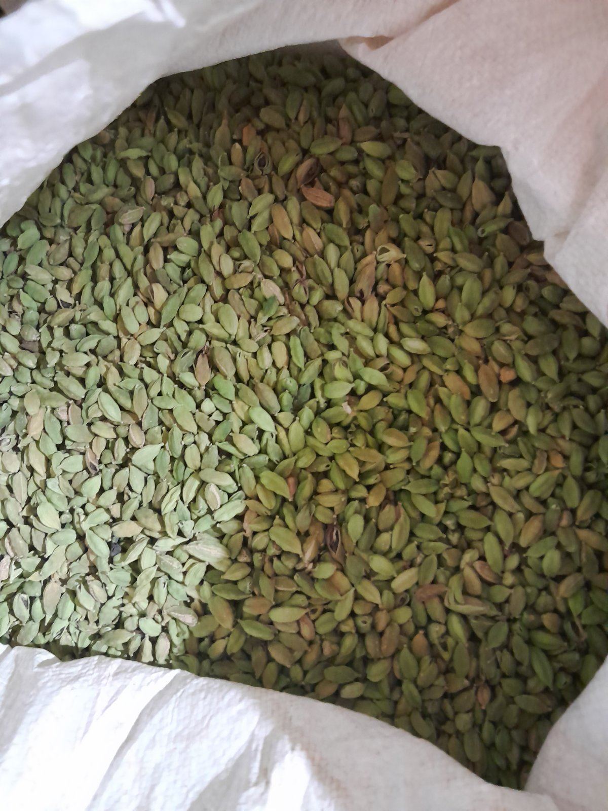 Cardamom for sale