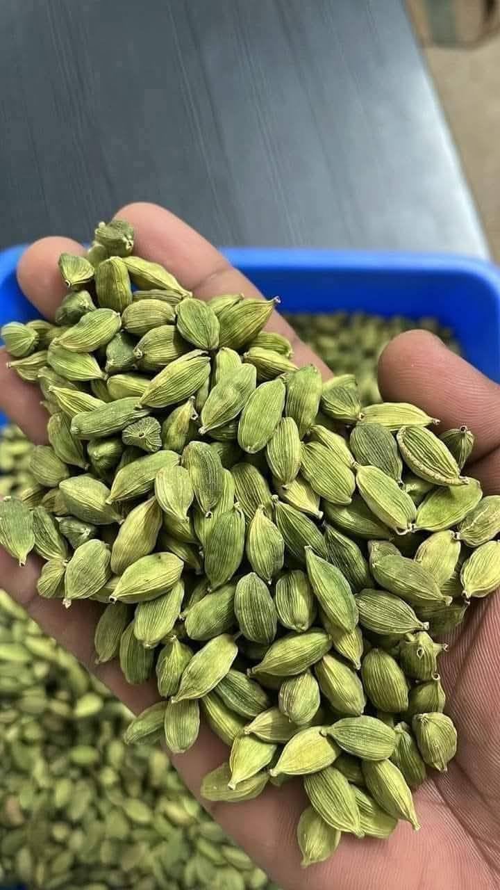 Cardamom for sale