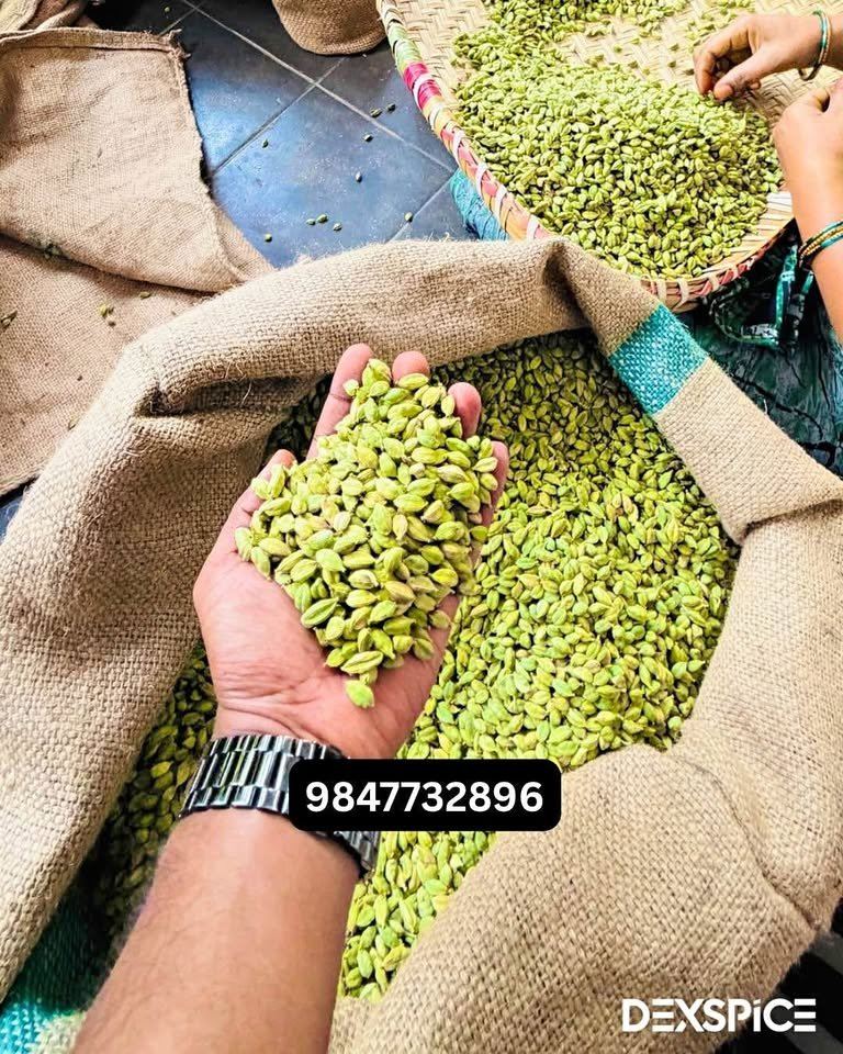 Cardamom for sale